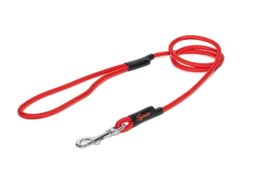 Preview: klassische Hundeleine - M - 115cm - rot